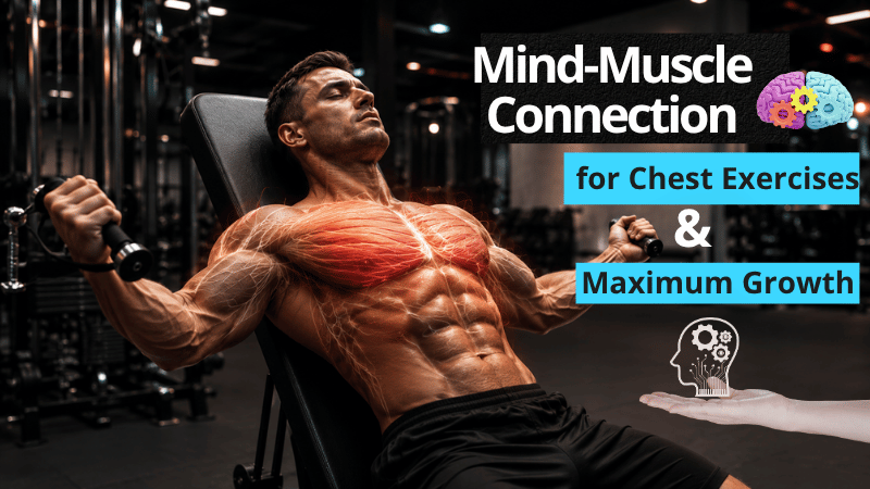 Bulk_Mode's tweet photo. Unlock more chest growth 💥 Slow every rep and squeeze hard at peak contraction for stronger mind-muscle activation 🏋️‍♂️. 
Focus on control and feel every chest fiber working 🔥. 
Read the full guide: https://t.co/lqtZq46lLh 

#ChestWorkout #MuscleGrowth #FitnessTips https://t.co/tcmHOajVx0