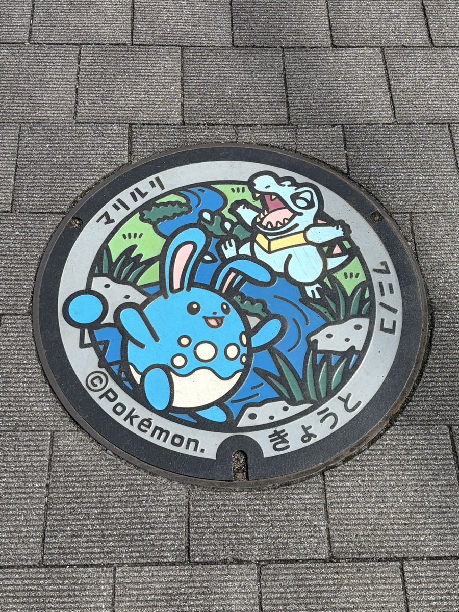 mmastertwi's tweet photo. #マンホール　#ポケモン https://t.co/3YplIIFzmt
