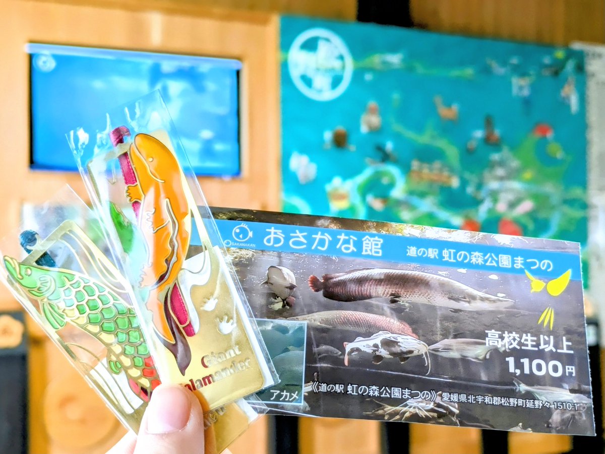 aron_tarou's tweet photo. ①午後から休みだったからちょっと遠出して淡水の水族館行ってきた🐟
お目当てのピラルクーは若い個体しかいなかった🥲
小さい頃に行ったきりだったから来れて良かった https://t.co/RmjeqGg1qY