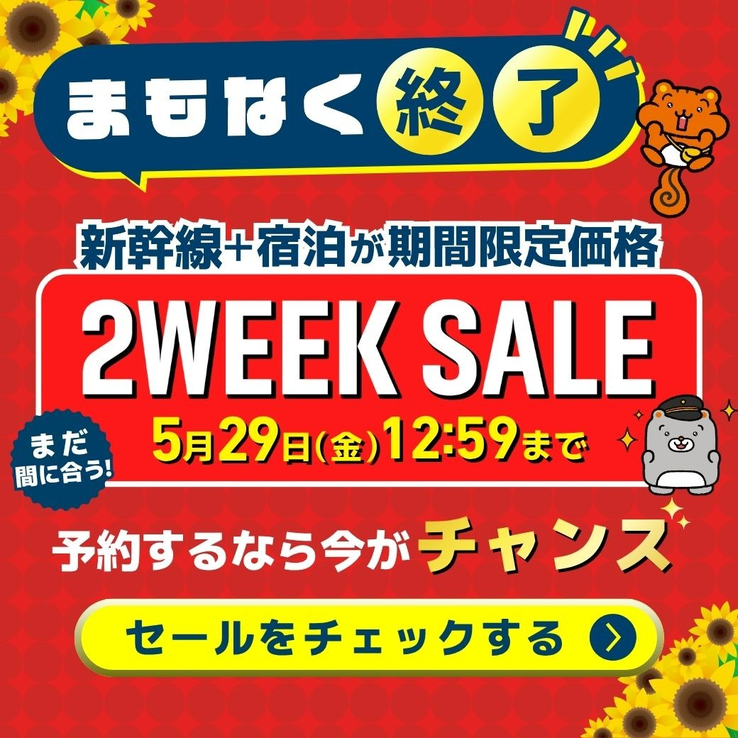 ⏰残り時間わずか⏰ 本日 12時59分まで 2WEEK SALE 