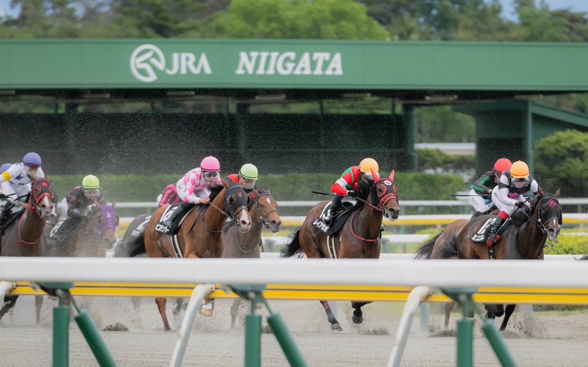 dora_3121's tweet photo. R8 5/24
新潟競馬第10R 火打山特別
レイアポポ　武藤雅

昇級初戦で5着！
走る度に着実に強くなってきて、このクラスでも次走以降は勝ち負けでしょう！
本当に良く頑張りました！ https://t.co/myT8PmewoM