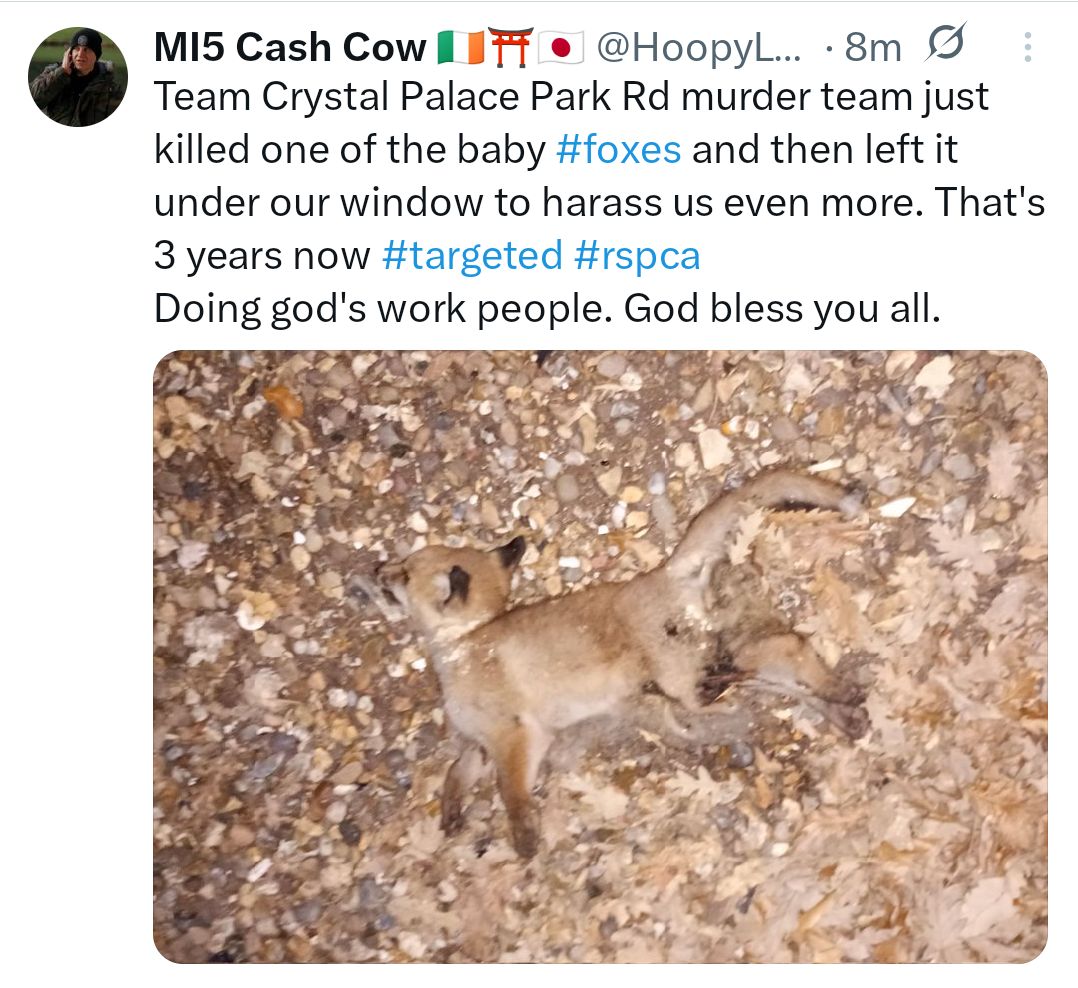 MI5 Cash Cow 🇮🇪⛩️🇯🇵 tweet media