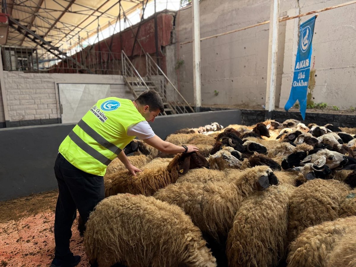 siirtocak's tweet photo. 📍ANKARA

Ülkü Ocakları ve Avrupa Türk Konfederasyonu üzerinden bağışlanan kurbanların kesimleri Ankara'da tamamlanarak Kurban Bayramımızın birinci ve ikinci günü olmak üzere dağıtımları gerçekleştirildi. https://t.co/KZIAJ9Y2h0