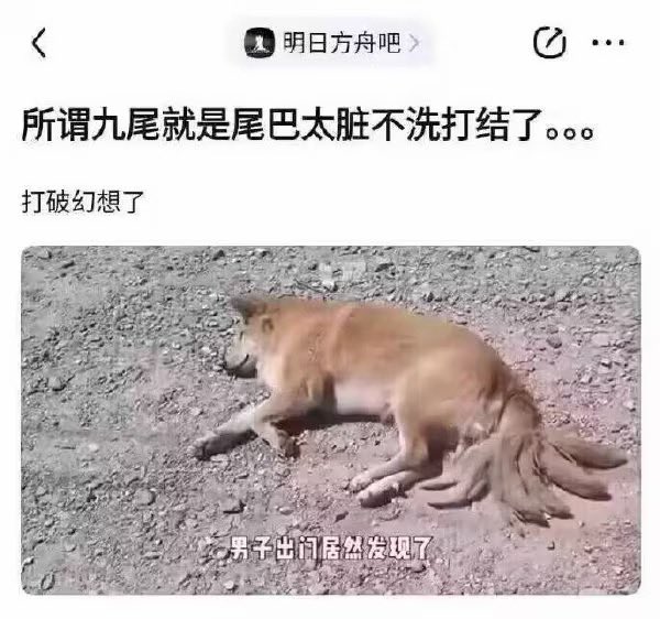 禿道道🐟 tweet media
