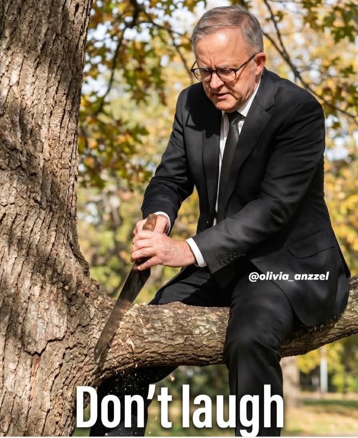 Australian Patriot. tweet media
