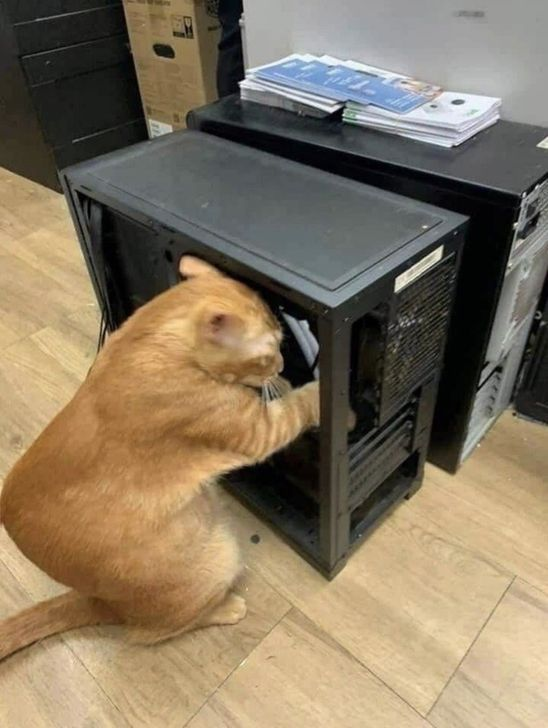pccomponentes's tweet photo. ✋ Espera, estoy actualizando la RAM https://t.co/yzvPBfYx0Y