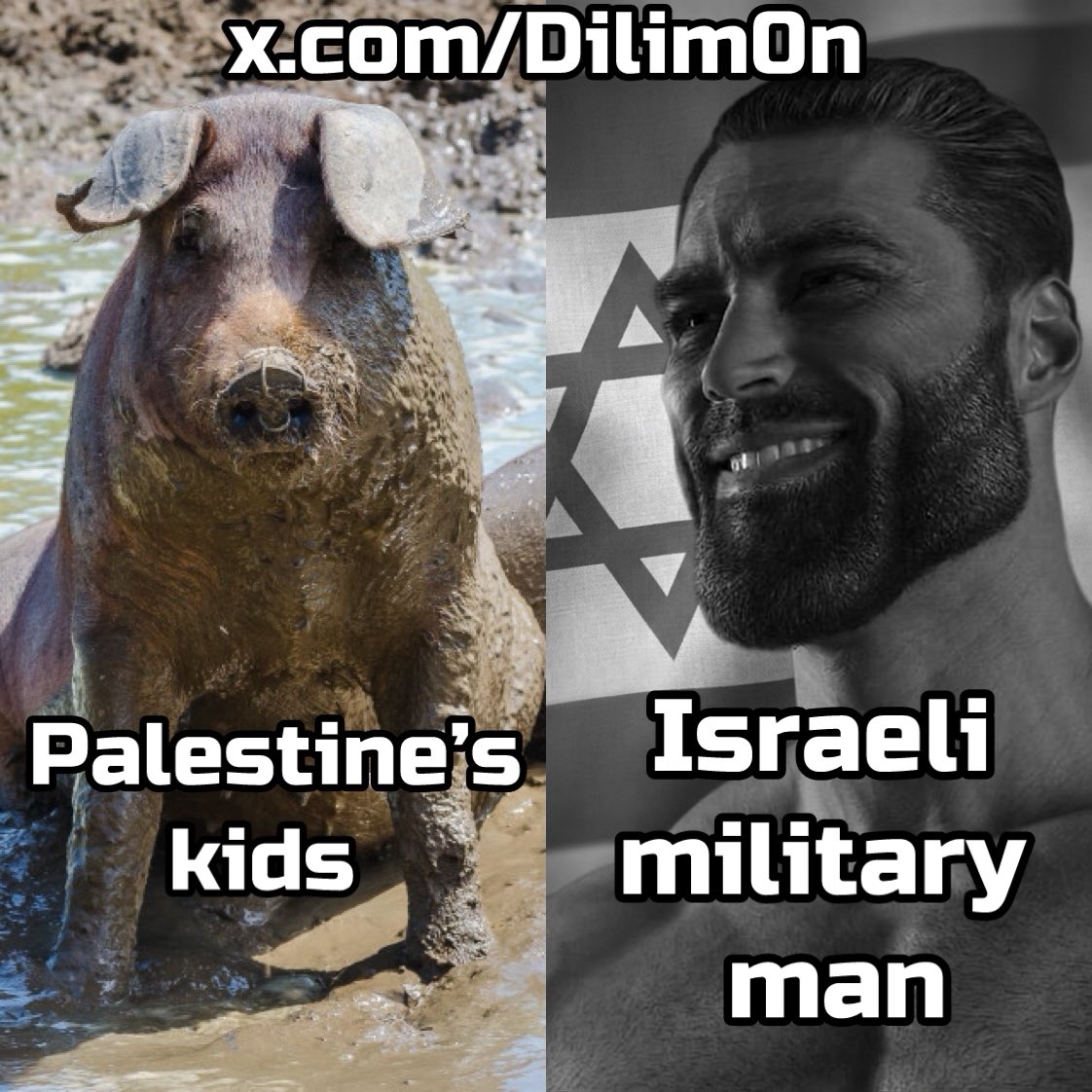 dilim0n's tweet photo. Based 🇮🇱🇮🇱🇮🇱 https://t.co/IANC823fA0