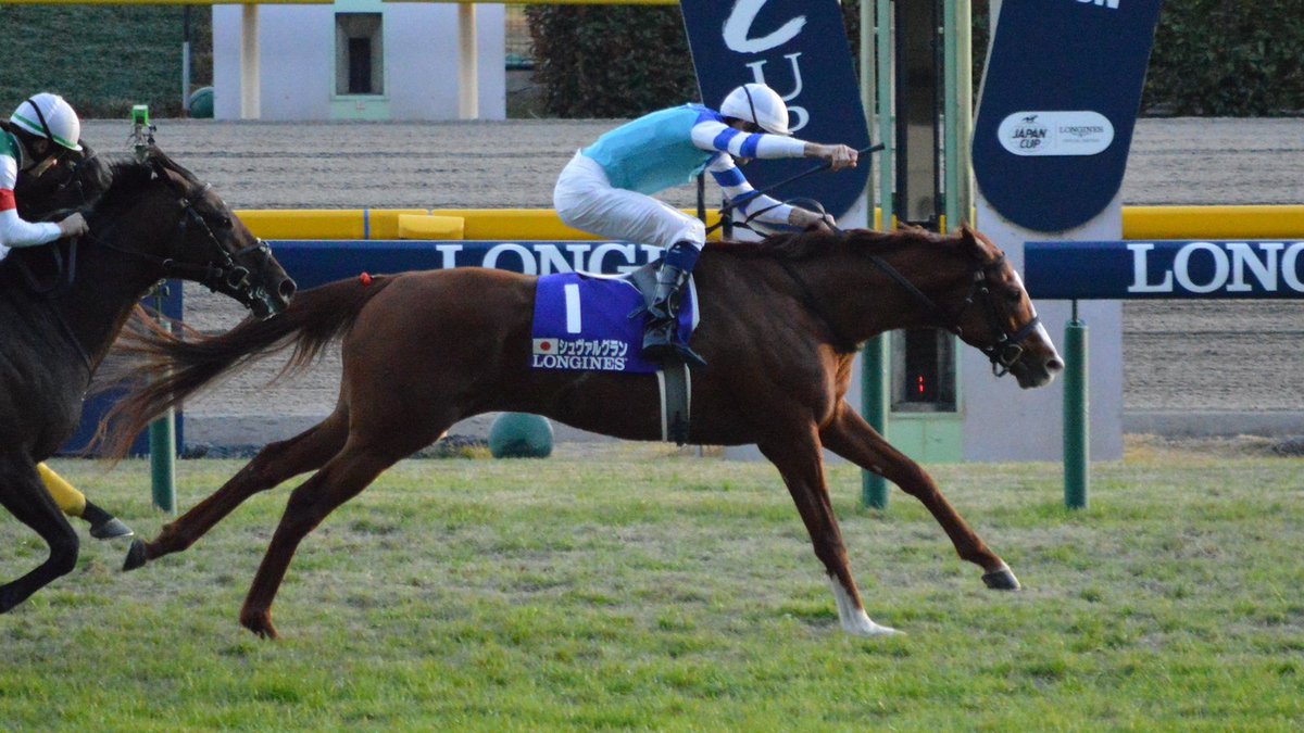 keiba_info_club's tweet photo. 最近の引退馬

・ナイスネイチャ
　→引退馬協会の看板としてドネーションでこれまでに3億円を集める

・シュヴァルグラン、ブラストワンピース
　→4月に障害馬術に参加

・ワンダーアキュート
　→画伯になったり相馬野馬追に参加

・🇦🇺ザーキ(GI4勝)
　→馬術に転向し2028年ロス五輪有力候補

・🇺🇸シベリウス('23ドバイGSなど重賞3勝)
　→馬術で活躍中

・🇬🇧スピリットダンサー('24ネオムターフCなど重賞4勝)
　→ビーチ散歩や夕食にビールを飲む生活

世界で引退馬の生活が変わりつつあるのかもしれません