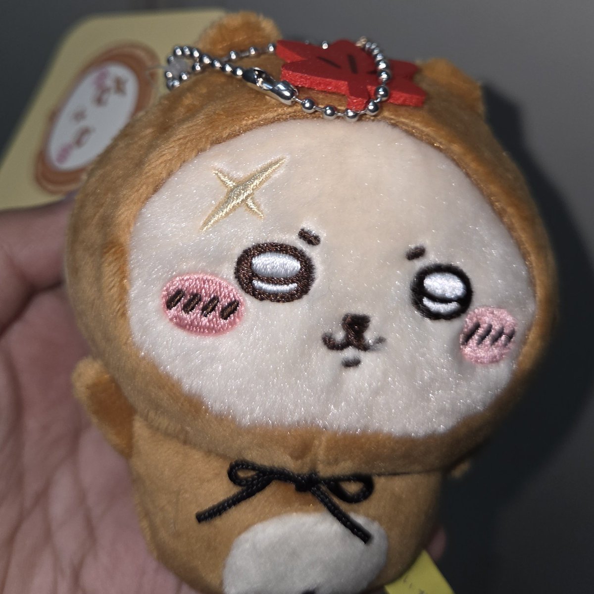 arkchieved's tweet photo. FAK RAKKO TANUKI GW LUCU BGT, sangatlh worth it penantian 2 bulan gw 🥺🤓 https://t.co/PtDHDZgeAo