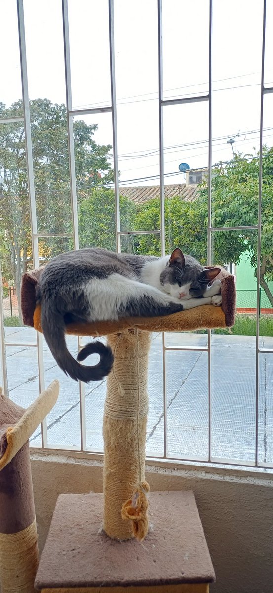 dirtjash's tweet photo. @efectomirringo #Luna #vida https://t.co/cTzgAlQVTI