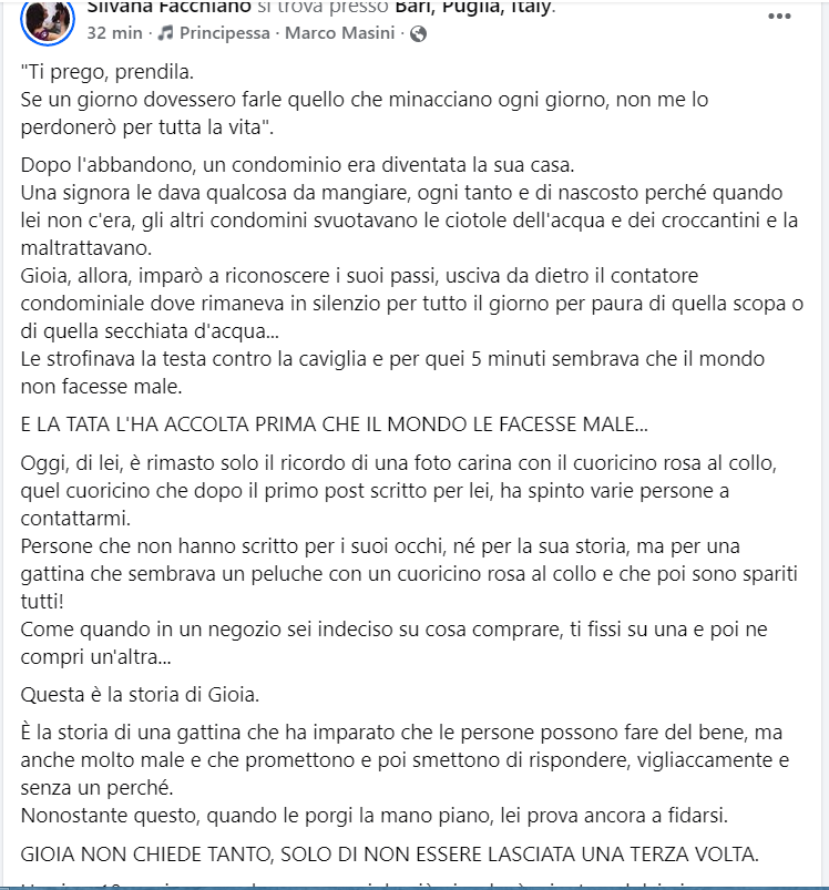 zampa_qua's tweet photo. ATTENZIONE🆘🆘 🆘🆘Silvana ☎️3394765657🐈D’altronde tutti gli animali sono desiderosi di ricevere il nostro amore https://t.co/NXu6ZXKmzC GIOIA 10 mesi dolcissima ,viveva in condominio ,poi LA TATA L'HA ACCOLTA ora cerca casa ADOTTATELA #4voiceless https://t.co/ZFKKVqeDAG