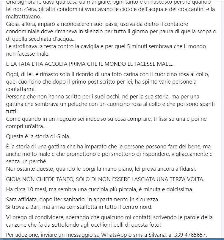 zampa_qua's tweet photo. ATTENZIONE🆘🆘 🆘🆘Silvana ☎️3394765657🐈D’altronde tutti gli animali sono desiderosi di ricevere il nostro amore https://t.co/NXu6ZXKmzC GIOIA 10 mesi dolcissima ,viveva in condominio ,poi LA TATA L'HA ACCOLTA ora cerca casa ADOTTATELA #4voiceless https://t.co/ZFKKVqeDAG