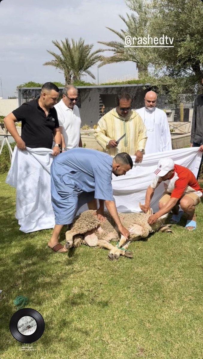 بدر التركي tweet media
