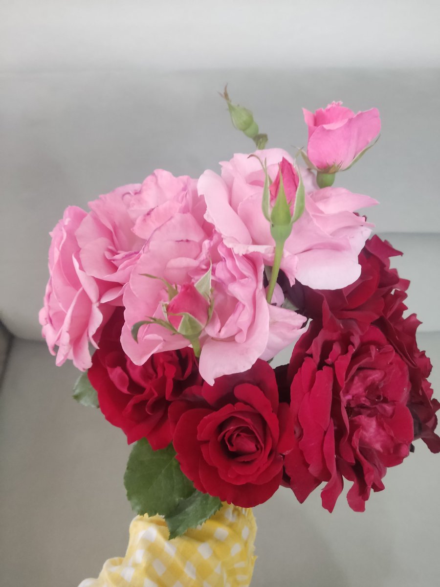 miryelvin's tweet photo. Bayram çiçeklerim Anneannem den🌸🤍 https://t.co/lqJwUN8ECJ