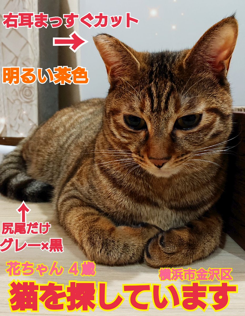 リポストお願いします
