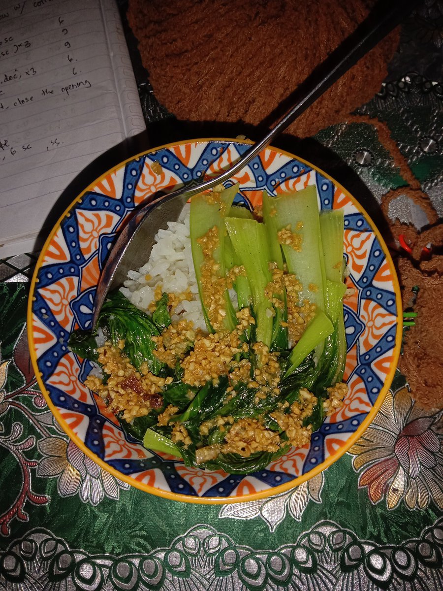 nandanap_'s tweet photo. Setelah Selasa mam lodho, Rabu mam gule. Hari ini pengen mam sayurr. Metik pakcoy dr kebun, masak satset. Suegeerrr 🥬✨ https://t.co/2A7KBUdYIl