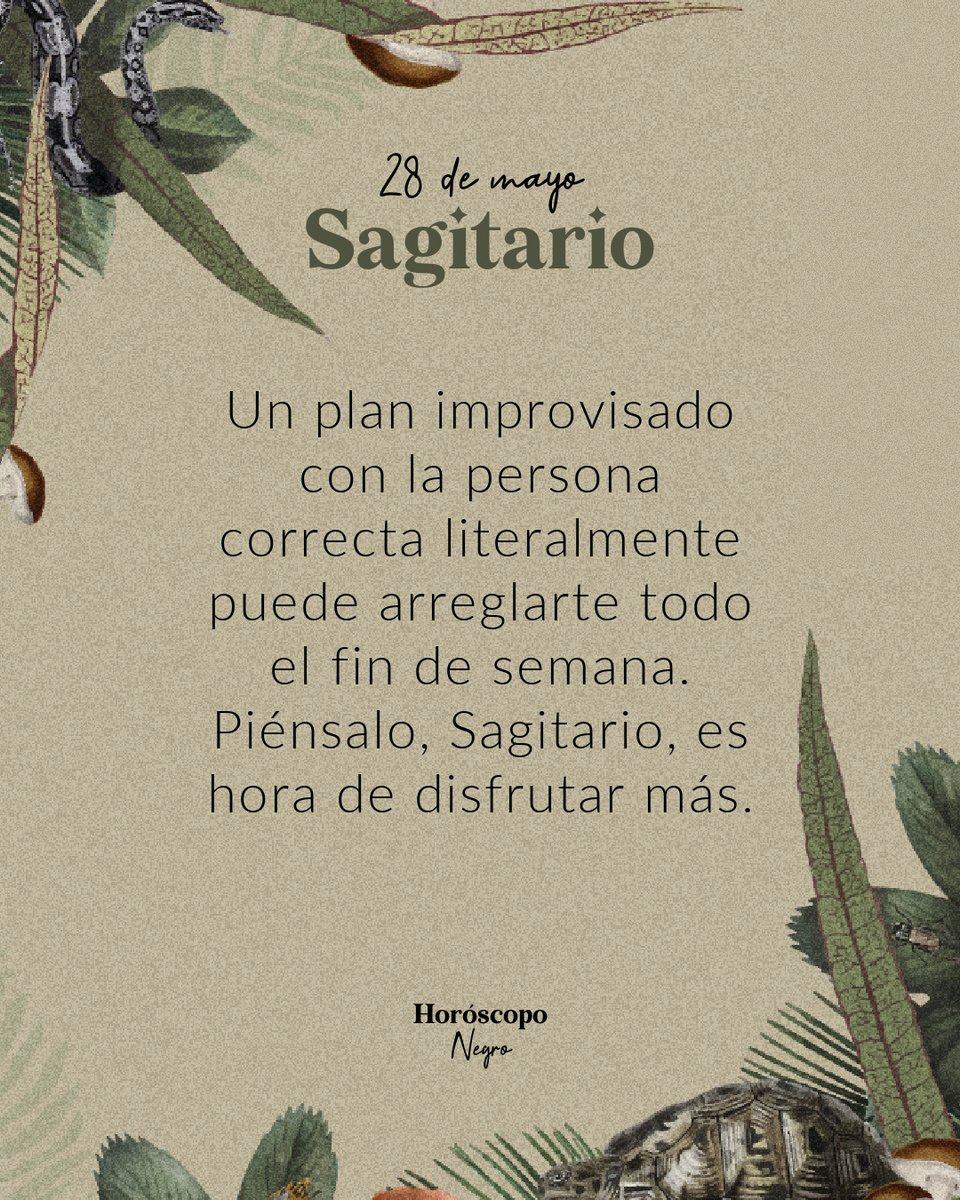 sagitario_hn's tweet photo. ✨ ♐ ✨ https://t.co/TiN7lUckiy