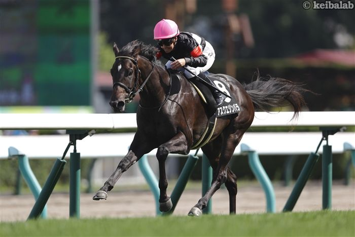 競馬ラボ tweet media