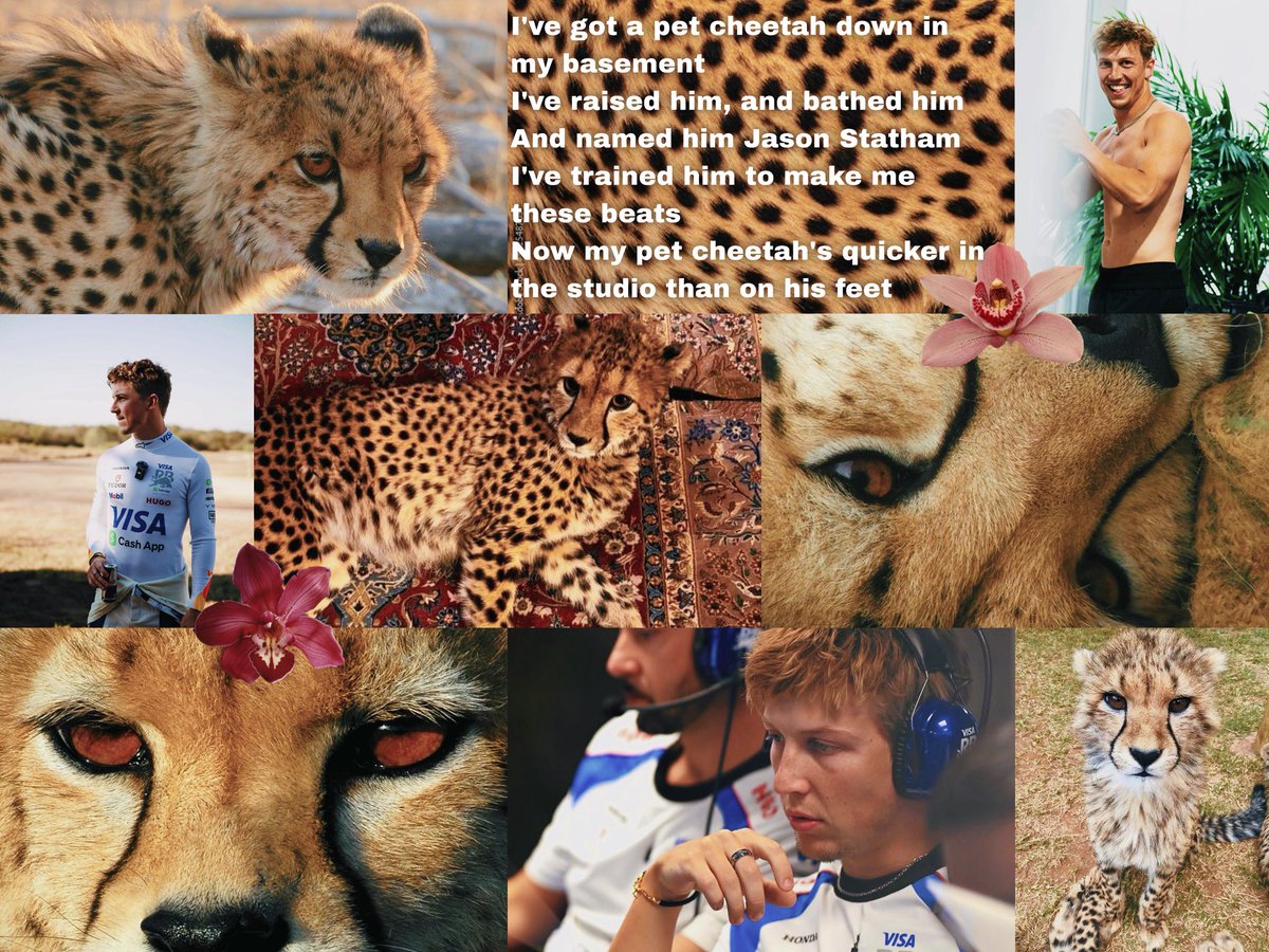 keraebaka's tweet photo. i love #lawblad and big cats soooo :)

maybe its my daemon au, maybe its just aesthetic pics of lawblad and cats with their vibes, who knows?
(its daemon au btw.) https://t.co/gx8YEjyO6k