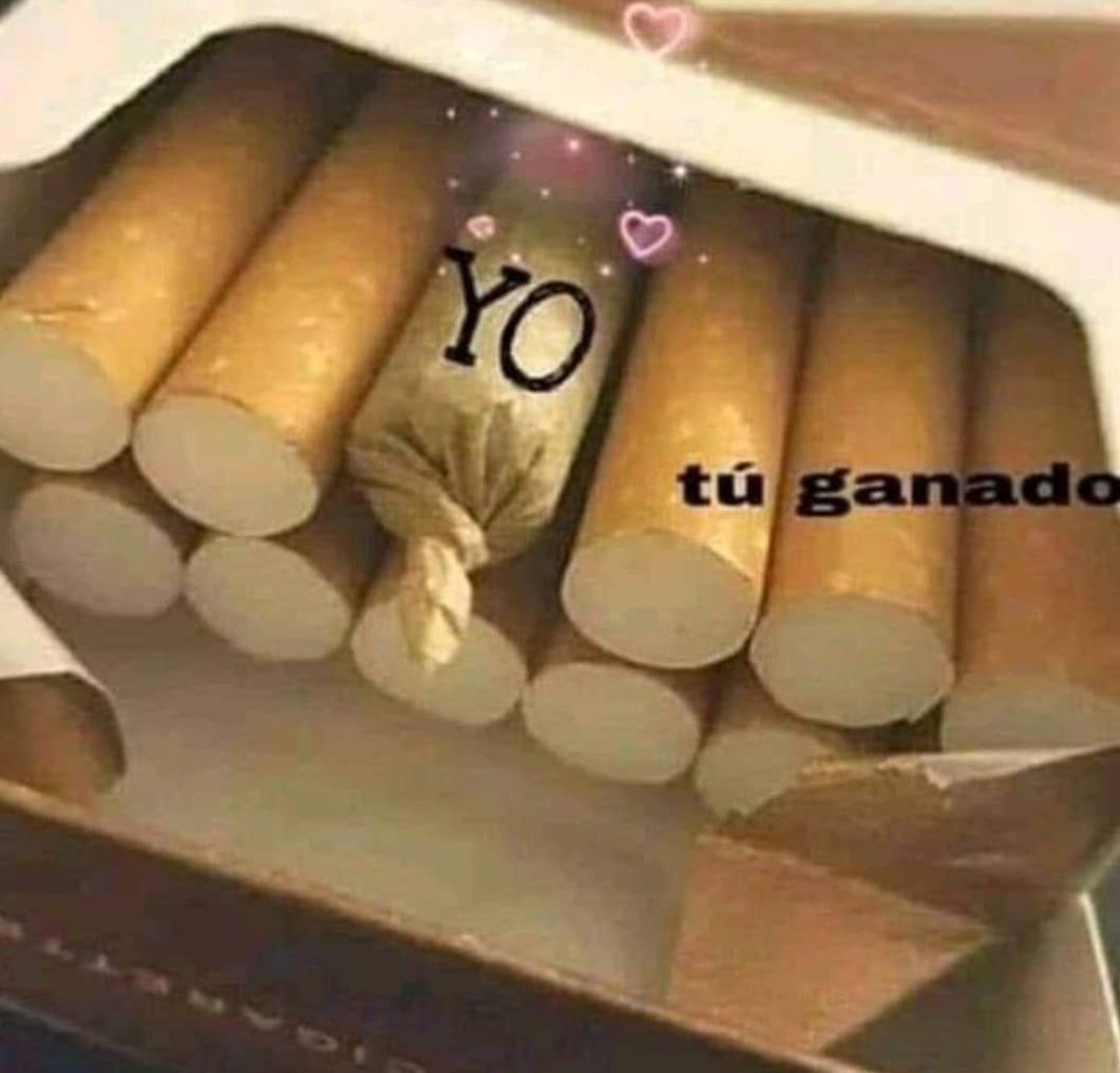 SrWeedSmoker's tweet photo. Te recomiendo no elegir mal... https://t.co/lWaINUcyPi