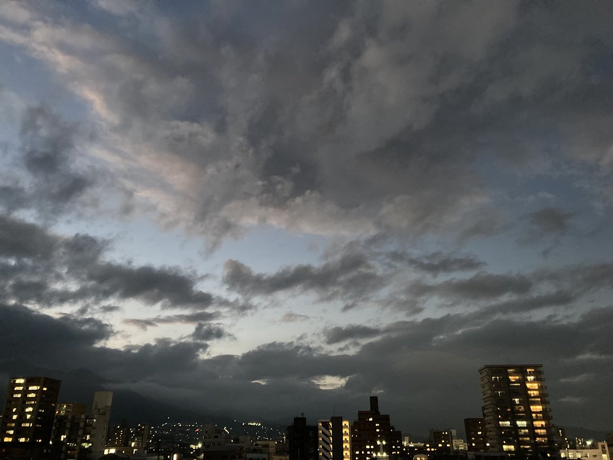 くぅ。 tweet media