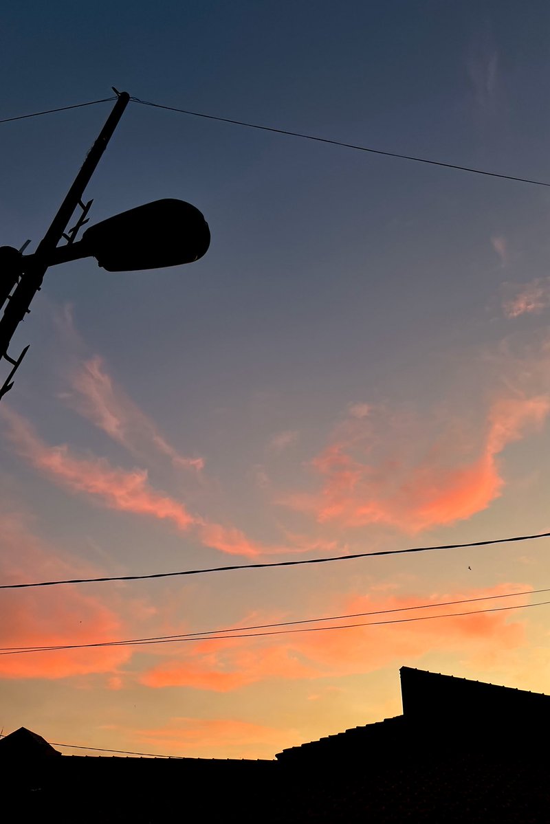Count Signal tweet media