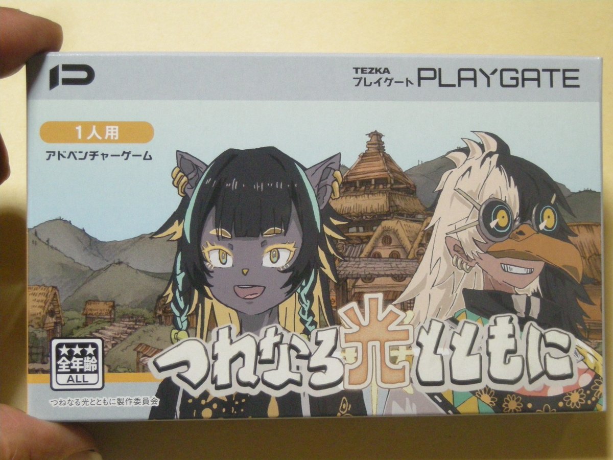 人のゲームカセット