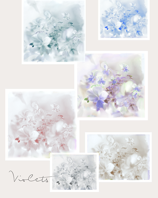 oAAE3EQVIonJtBa's tweet photo. #violets #すみれ 5体 #絵画風 #collagephotoart #夏秋レイ https://t.co/xMqZxKgFp2
