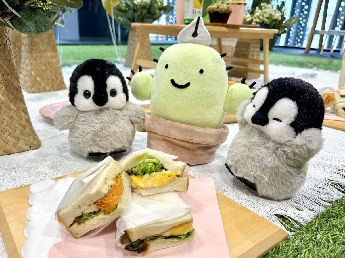 アミューズ AMUFUN【公式】 tweet media