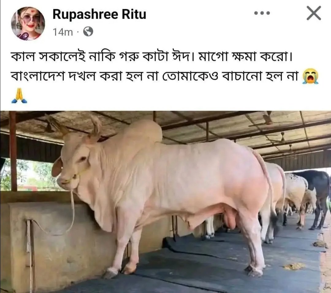 revolt_71's tweet photo. উনি বাংলাদেশ দখল করতে চান 🥴 #IndiaOut https://t.co/uLsqIcebhV