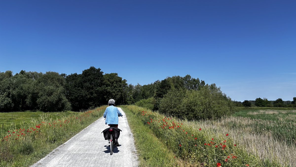 MFJBellen's tweet photo. #vrtweer Diest 12u16 https://t.co/WVgJ65ZAUH