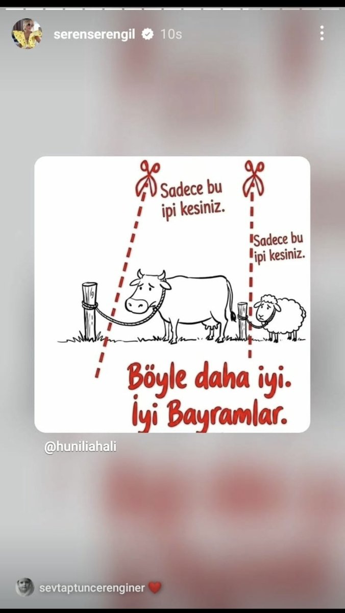 Av. Meltem Zorba tweet media
