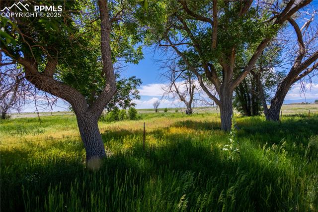 JustCallJustine's tweet photo. You won't find a better deal! Take a look at this newly reduced listing in Land.
- Justine Marquez #FA100073656 with RE/MAX Properties
- Contact me at 719.338.9808 https://t.co/cAzt65uXpE