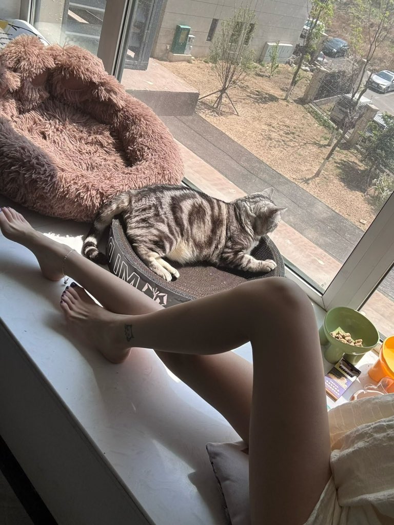 SubaiS041120's tweet photo. 🐱 #重庆女S https://t.co/seQ5r6iRIH