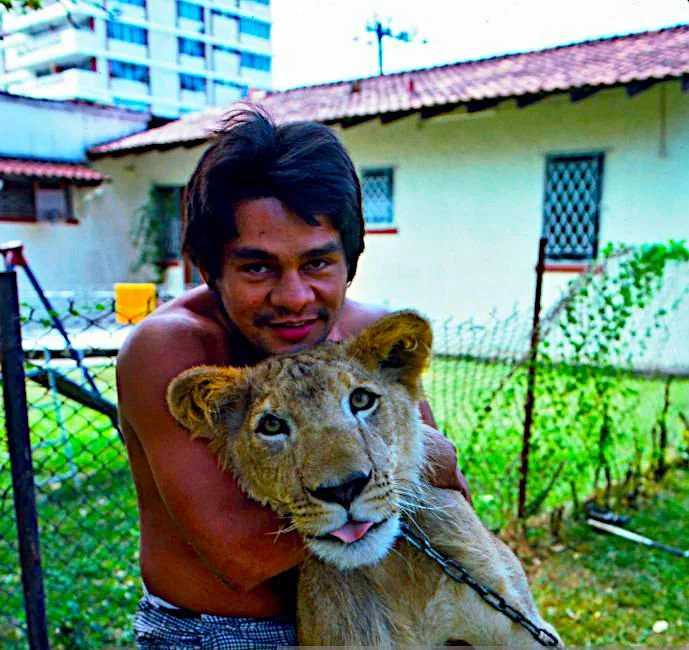 DaBabySnatcher's tweet photo. Bro had to walk with a lion to not get bothered by his own people 😭 https://t.co/KvL7VNb8He