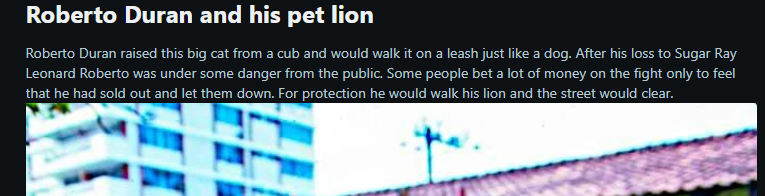 DaBabySnatcher's tweet photo. Bro had to walk with a lion to not get bothered by his own people 😭 https://t.co/KvL7VNb8He