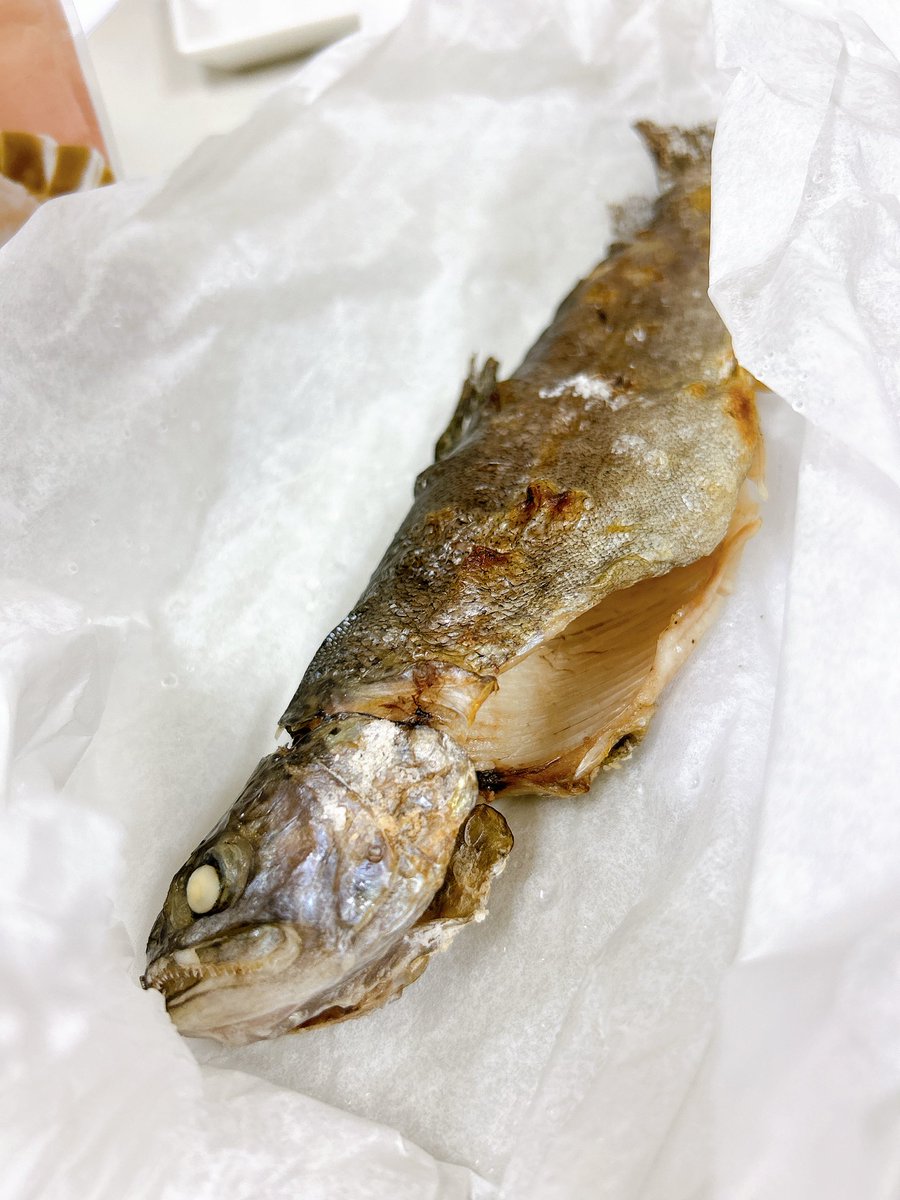 田所あずさofficial tweet media