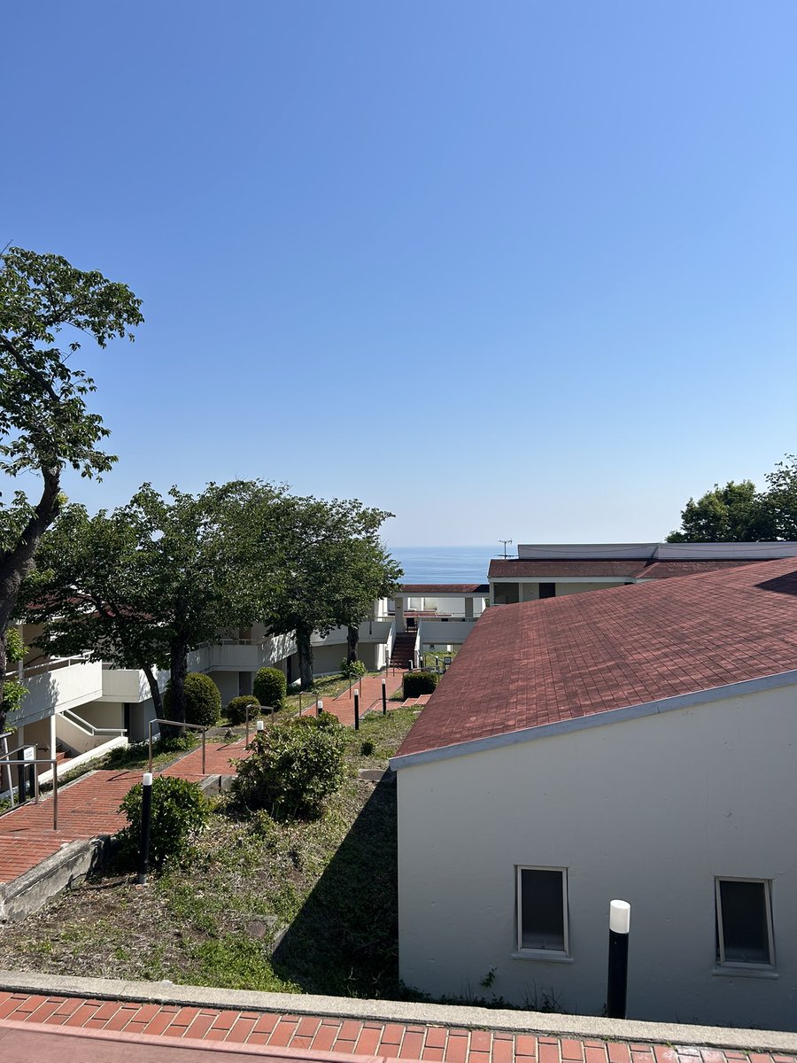 mintogreene's tweet photo. 伊豆旅行🧳
ずっと晴れてた☀️.°

 #日常垢 https://t.co/SIBY0Ilu3n