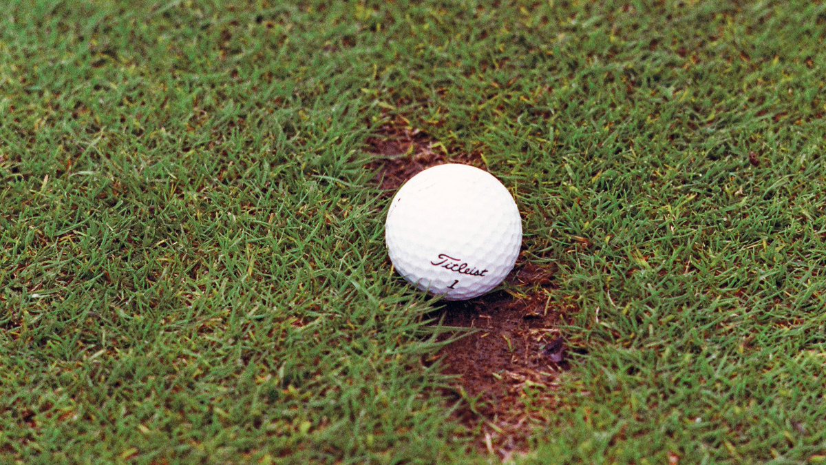 Thwack Nicklaus tweet media