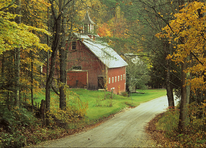 shagbark_hick's tweet photo. It's absolutely a fact that New England feels distinctly odd to someone from Upstate New York.

It's almost indescribable; perhaps akin to the odd sensation a Welshman might feel on a trip to Cornwall.

The people look pastier, the bars are stuffier, speed limits are lower, and the scenes around the countryside look more like a painting I could never afford to live in than like a gritty apocalyptic movie set.

It always seems sunnier there, and richer too. Certainly more liberals as well -- lots of Rainbow Flags and IPA's. But even the grungy, conservative side of New England feels unfamiliar somehow. Clannish, unapproachable, stiff. Their people mumble quietly while ours intermittently grunt and hoot. Their poor people are scrawny and Anglo while ours are fat Italo-Franco-Micks and red-faced German drunks.

And in NYS, the corruption colors everything somehow; you can somehow "feel" it oozing off of everything. Our evil overlords are not trim-and-tidy Cambridge-adjacent technocrats, as with New England's -- but cartoonish mobsters and wine-drunk swinger soccer mom types. Their upper class wears crisp white polos and loafers -- ours wear ill-fitting JC Penny suits and sport bald heads and sauce-dribbled double-chins.

I truly feel like I'm in a foreign country when I'm there; it's a lot like going to Canada. If I blur my eyes it looks the same, but when I examine almost anything closely, it's distinctly foreign. This is not a feeling I get in, say, Michigan or Wisconsin.