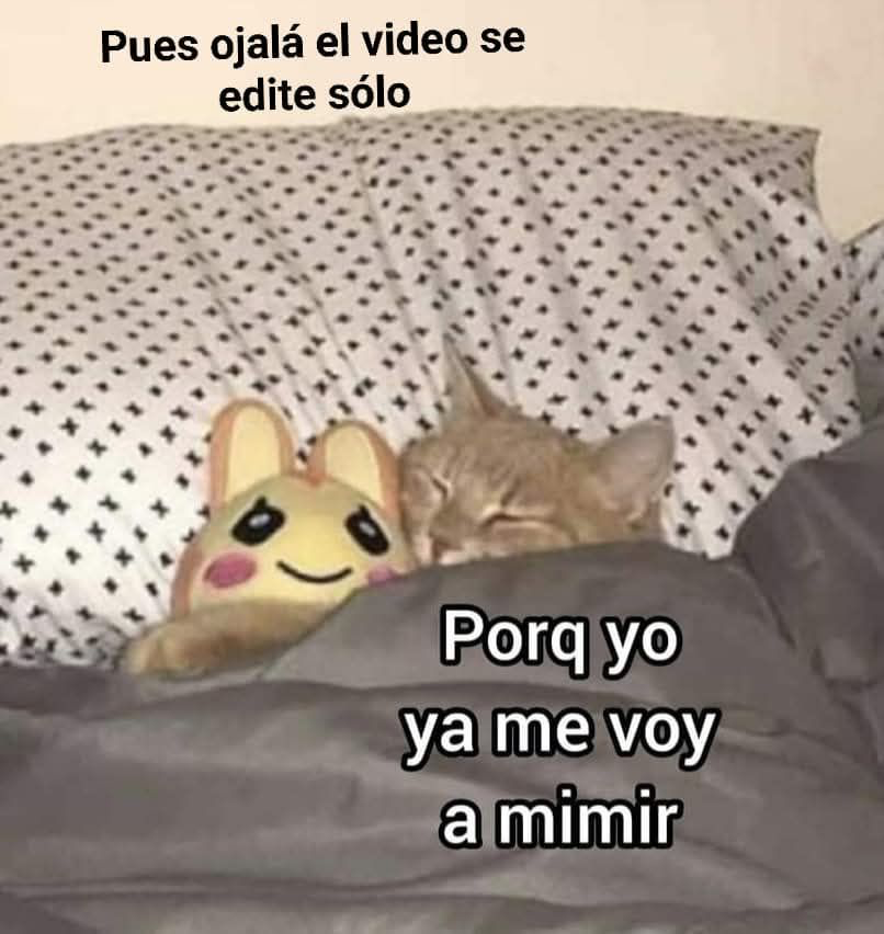 erick_dex's tweet photo. Qué ganotas 💤 https://t.co/wA1BwyE9hI