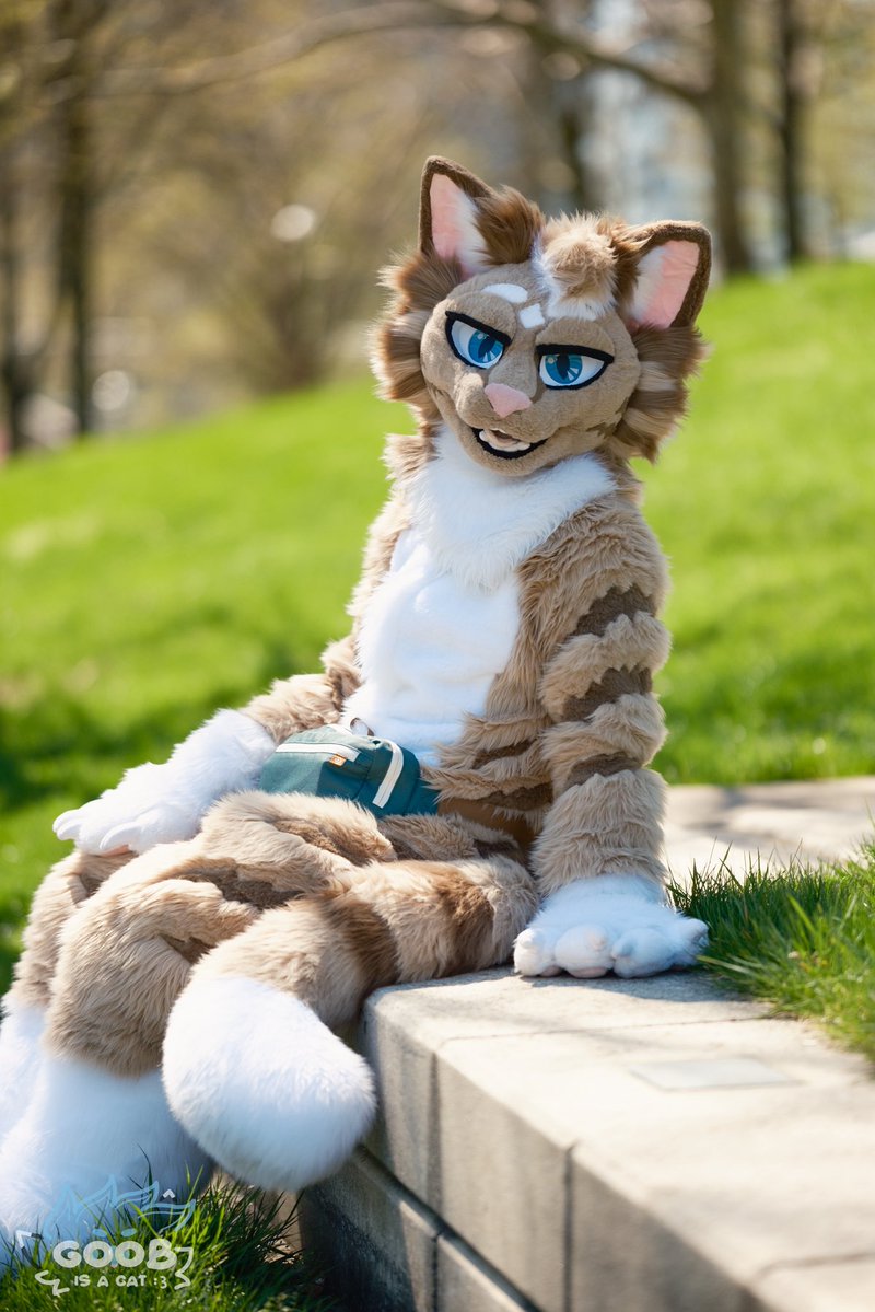 GoobIsACat's tweet photo. Hey you! 

You in Columbus? Need fursuit photos before AC? Want photos like these?

I gotchu! I’m open for fursuit photography sessions! Feel free to DM if you are interested!! https://t.co/jcbK8bpq60