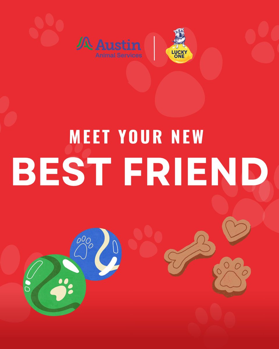 Specs1962's tweet photo. Someone special is waiting to meet you 🐾

Join us for the Lucky One + Austin Animal Services Adoption Event this Saturday, June 6th from 1–4 PM at 1500 West 35th St in Austin to meet some furry friends searching for their forever homes. https://t.co/AB9i56ZsIL