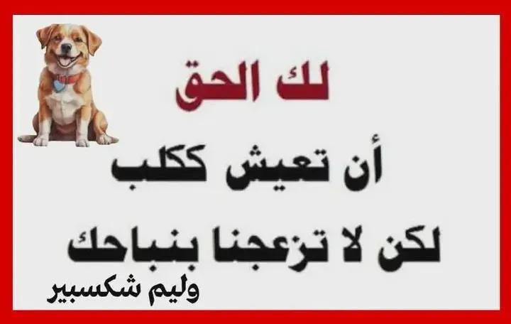 BalalAbdullah1's tweet photo. @qh_abuabdullah https://t.co/LX5shkL7CQ