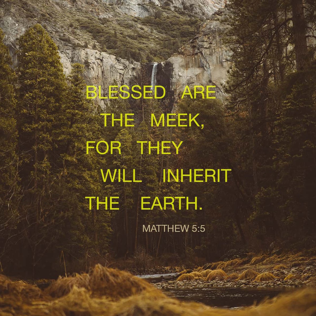 Redeemed_96's tweet photo. Thankful for another day #Blessed https://t.co/k3xumkbKm6