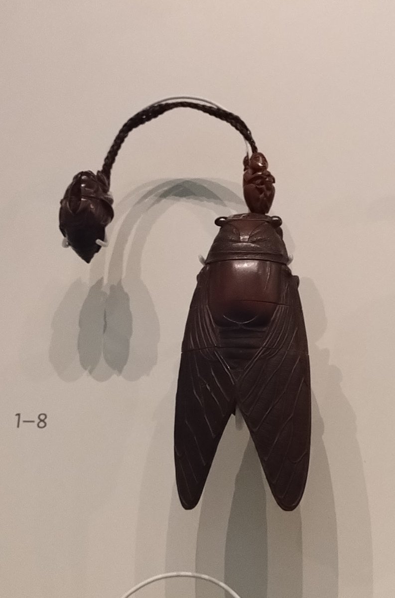 Cecimelidae's tweet photo. #Taxojueves #Taxoarte

Carterita japonesa, modelo cigarra 😍 https://t.co/tML4NjttXW