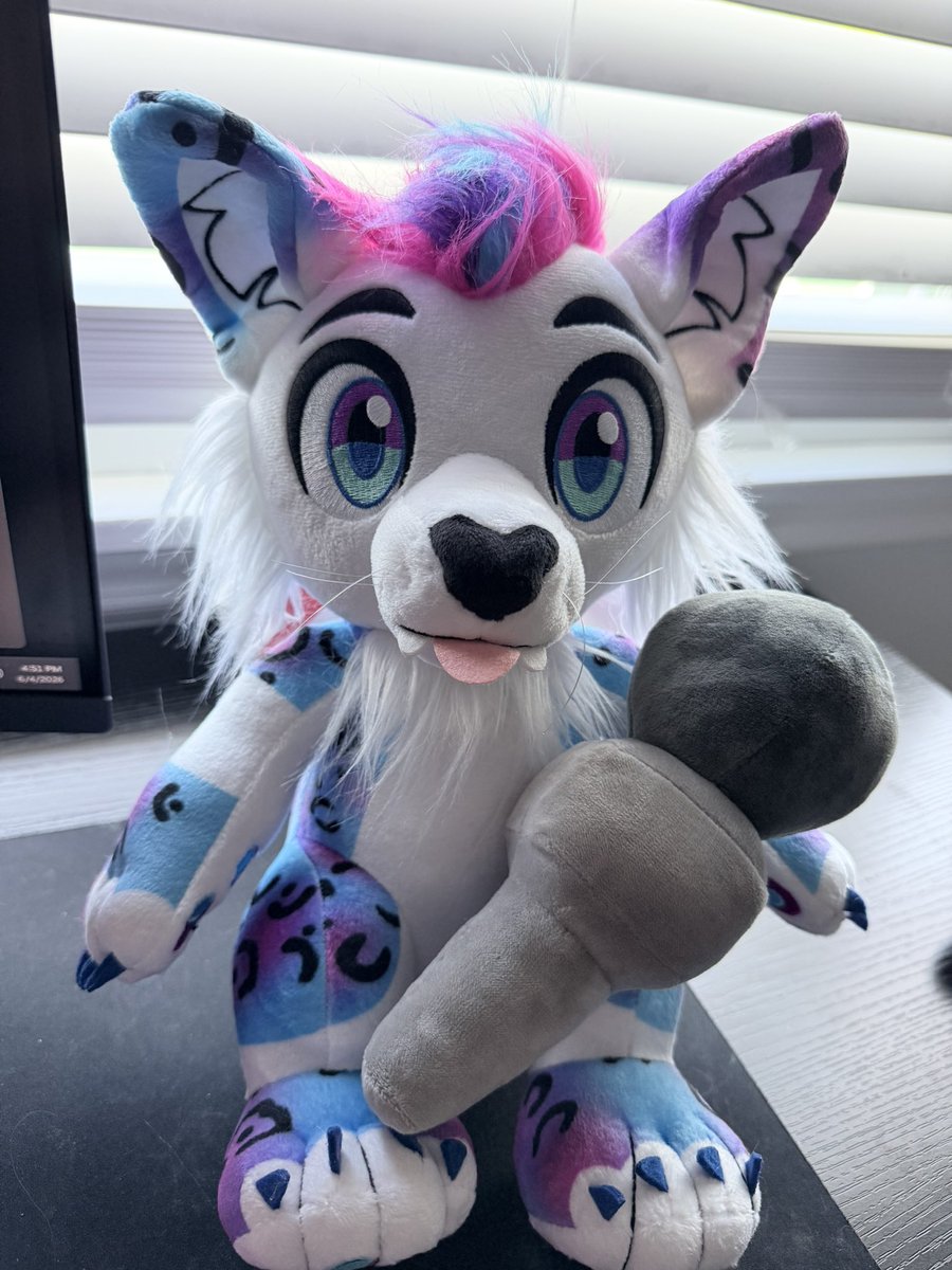 TuxedoFolf's tweet photo. This guy walks up to you and asks for an interview... wyd? 👀

Cute @Astra_The_Kitty plushie came in today❤️💙💜🤍 https://t.co/x8xM8cfJoD