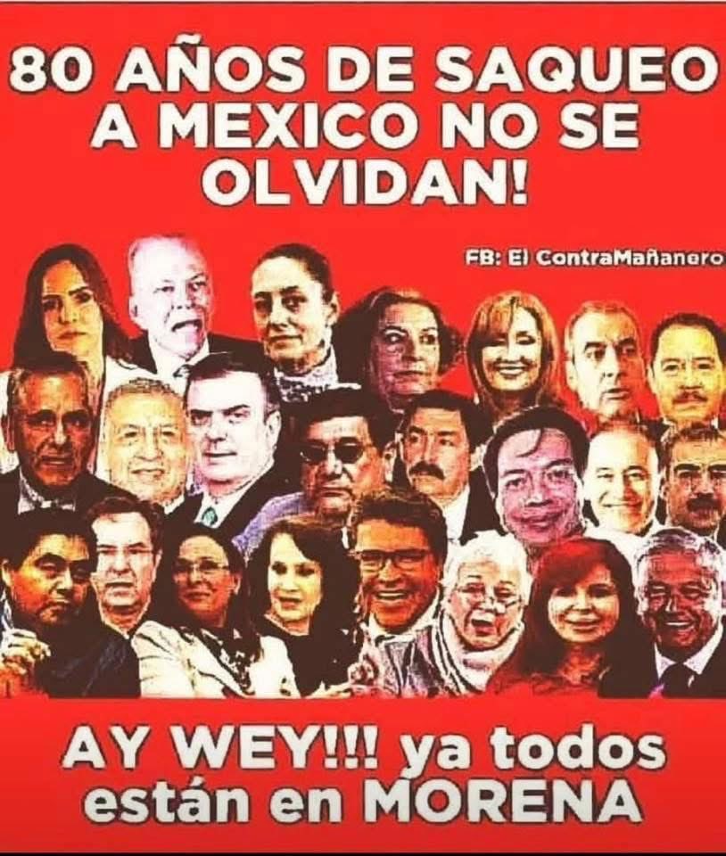 Maria Castro tweet media