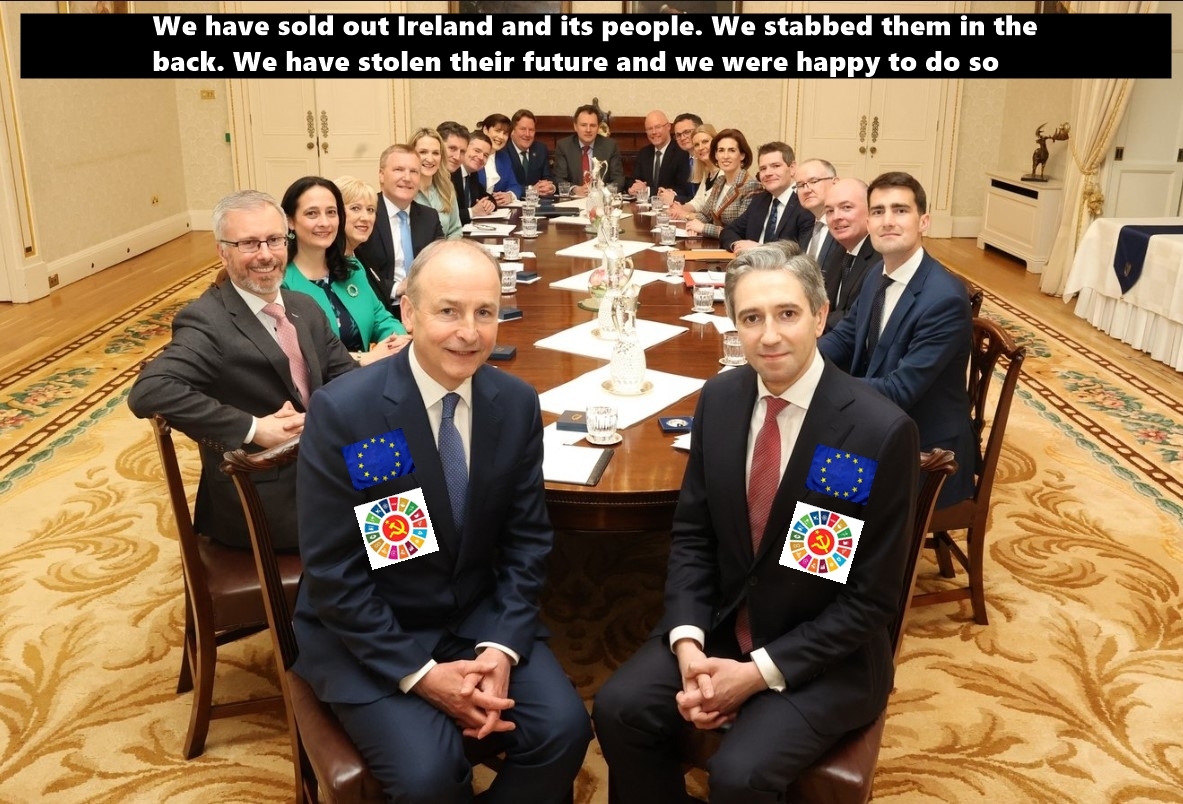 Maximil86429959's tweet photo. An Irish baby boy is born. Soon he goes to a childcare facility, then to primary school, then to secondary school, then to university, then as a young adult he heads to the airport (&amp; sees his migrant replacement) to leave Ireland because he can't have a life in his own country🇮🇪 https://t.co/jljovTOKAn