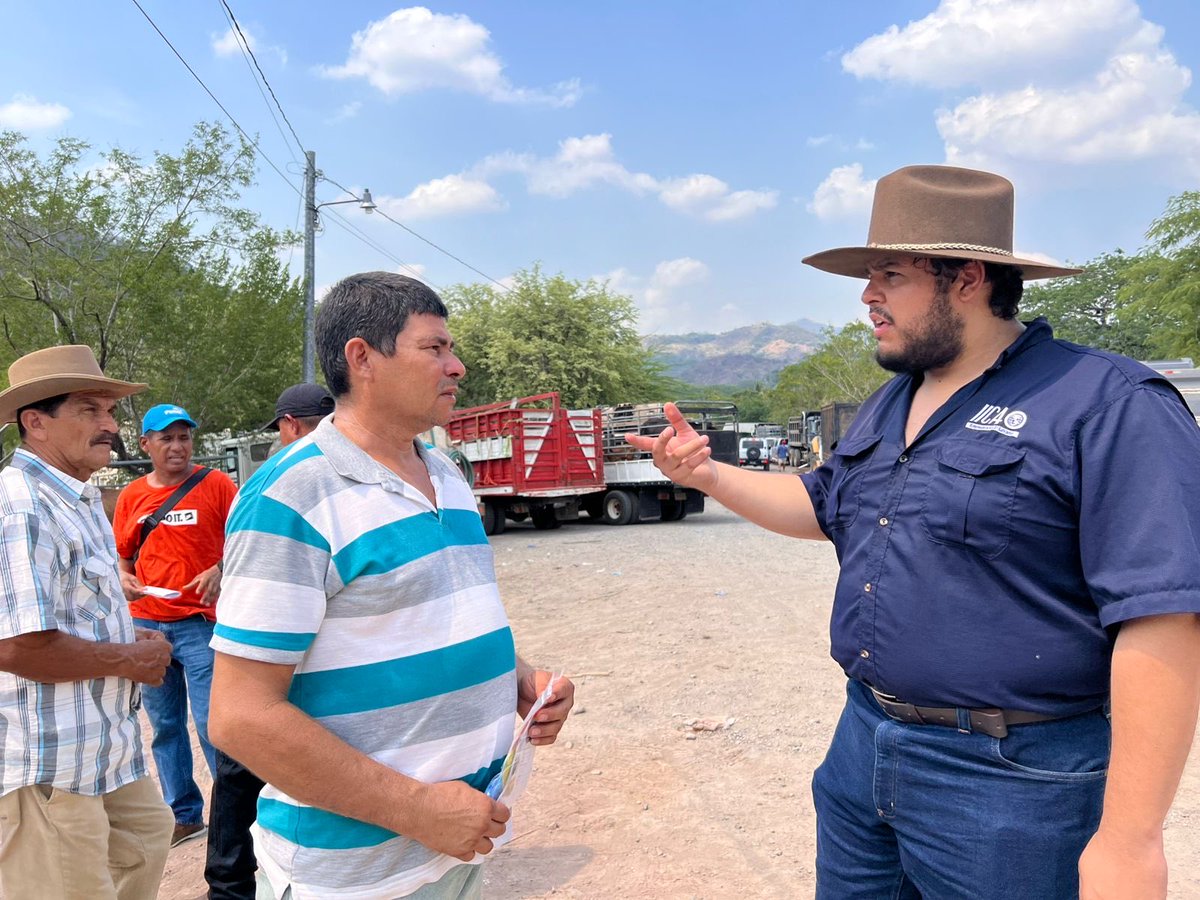 iica_sv's tweet photo. ¡Gran jornada de sensibilización en sanidad animal en La Unión Norte! 🤠🌾 Nos trasladamos hasta el Tiangue de Santa Rosa de Lima para sensibilizar a 100 personas ¡incluyendo productores y niños! sobre la prevención del Gusano Barrenador (GBG). 🪰🐮 https://t.co/KFPKalBcPg